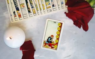 The eight of pentacles for future, love and money readings